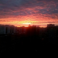 Светлана Кононова | 