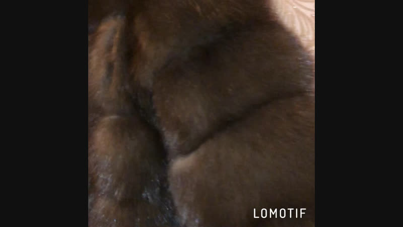 Siberian lux furs