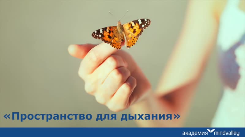 Пространство для дыхания¦ Соня Шокет