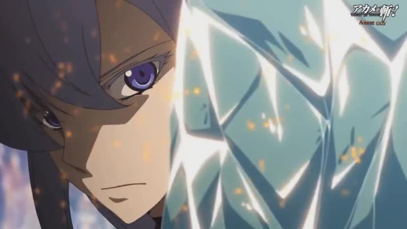 「Akame ga Kill! AMV - Hero」