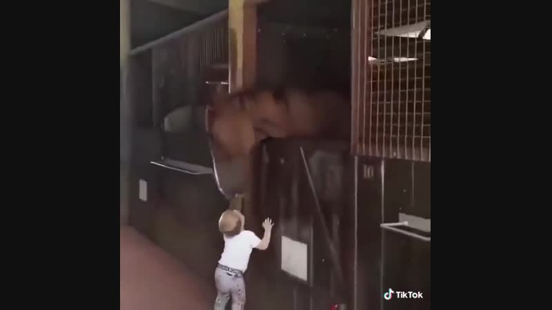 доброе утро