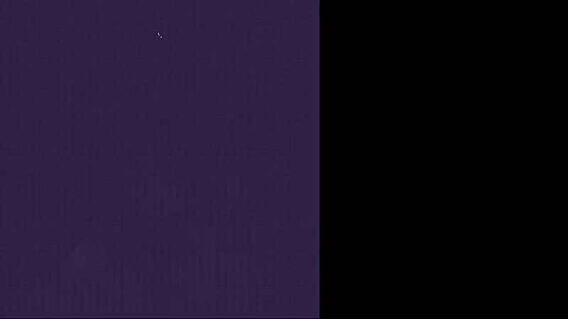 VID_31350705_132917_924.mp4