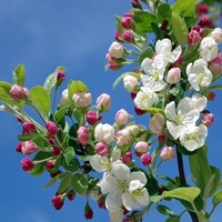 Наталья Скоробогатова | 