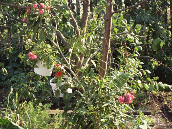 фотография из вКонтакте