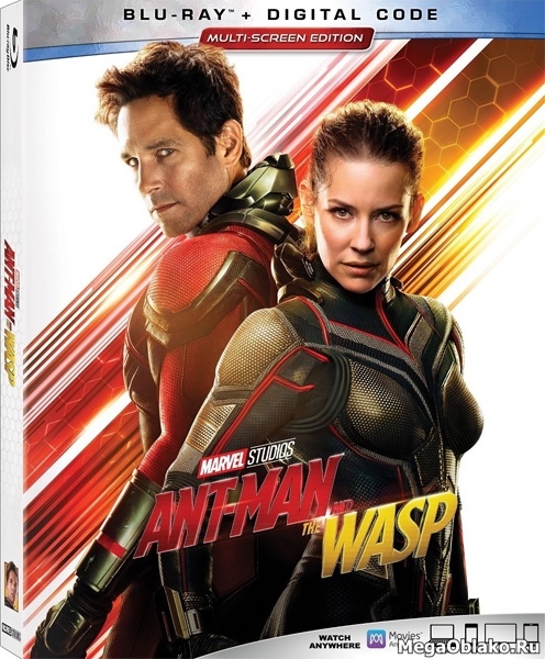 Человек-муравей и Оса / Ant-Man and the Wasp (2018/BD-Remux/BDRip/HDRip/3D) Человек-муравей и Оса / Ant-Man and the Wasp (2018/BD-Remux/BDRip/HDRip/3D)