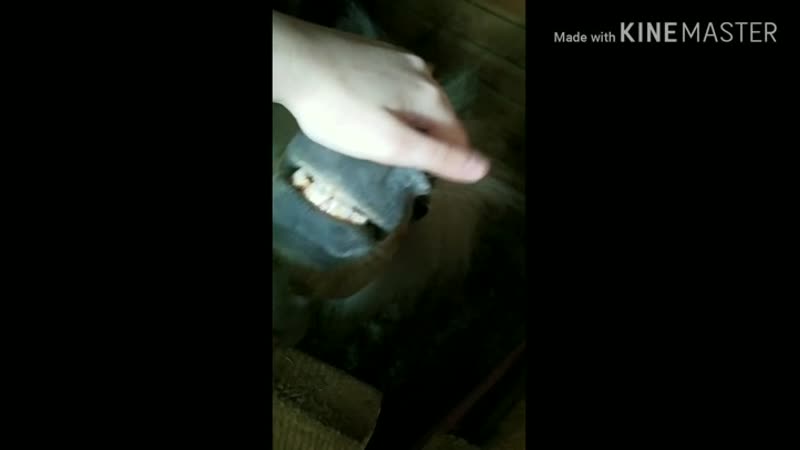 VID_20171221_232642_389.mp4