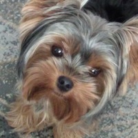 Екатерина Капитанова | 