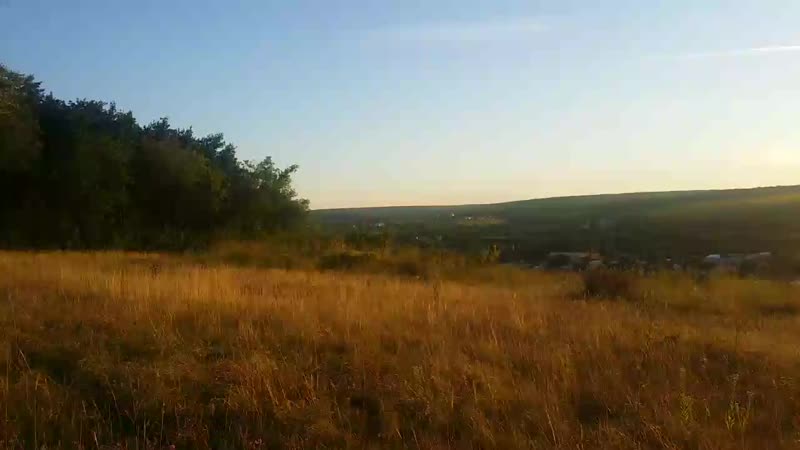 20170724_193342.mp4