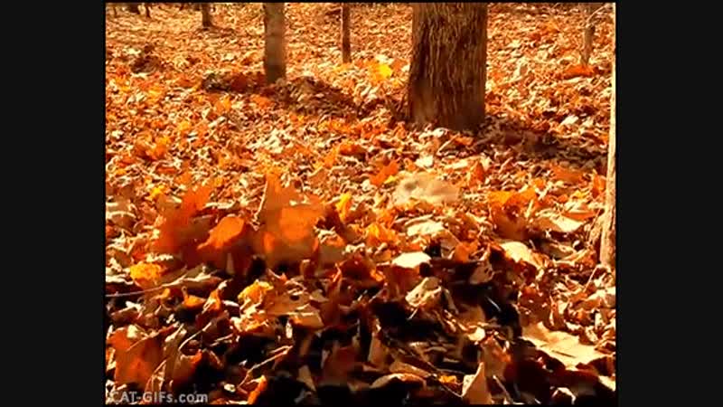 Ура! Выходной!