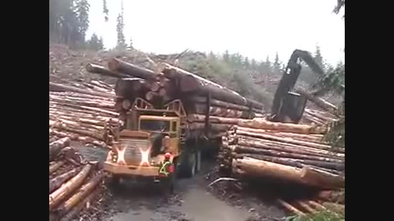 Fat Trucks of Powell River