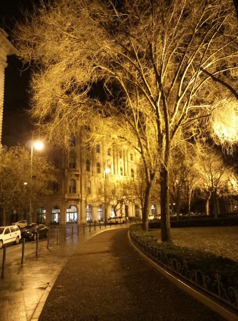 Рождественско-новогодний трип Германия-Австрия-Венгрия Рождественско-новогодний трип Германия-Австрия-Венгрия