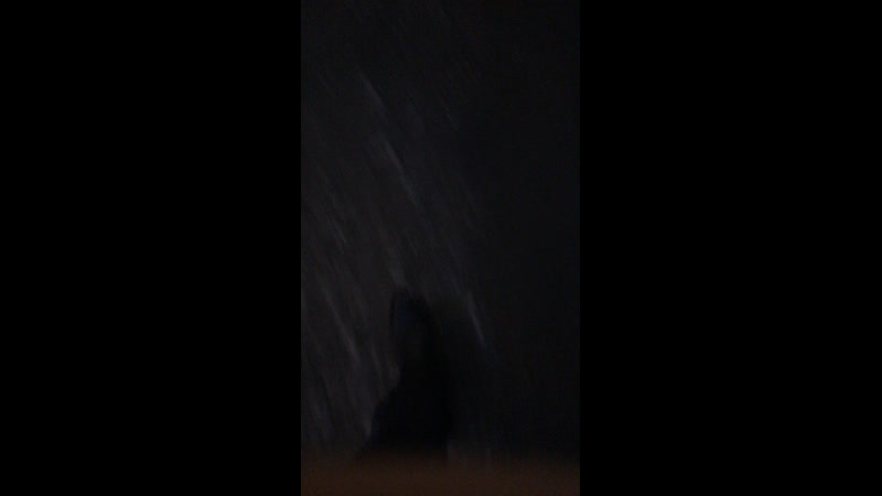 Серёжа Эйхман — Live
