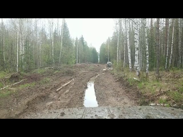 VID 20180603 WA0012