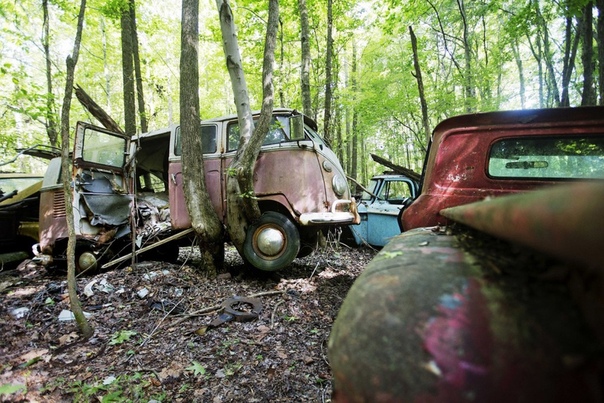 Old Car City — лес, заполненный автомобильной классикой В штате Джорджия, на юго-востоке США, обычный дед по