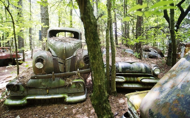 Old Car City — лес, заполненный автомобильной классикой В штате Джорджия, на юго-востоке США, обычный дед по