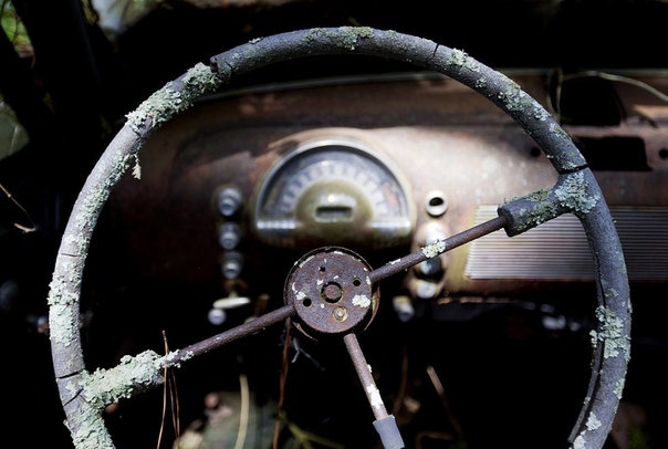 Old Car City — лес, заполненный автомобильной классикой В штате Джорджия, на юго-востоке США, обычный дед по