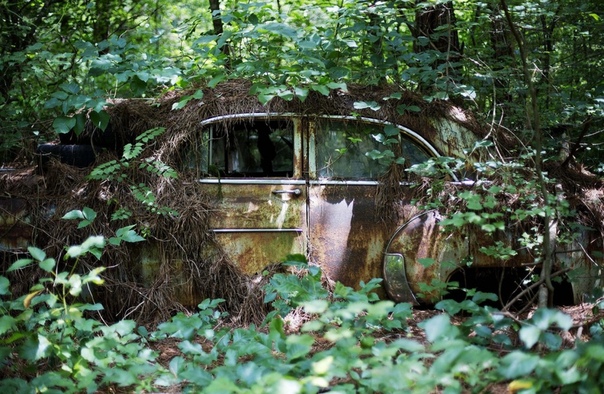 Old Car City — лес, заполненный автомобильной классикой В штате Джорджия, на юго-востоке США, обычный дед по