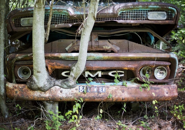 Old Car City — лес, заполненный автомобильной классикой В штате Джорджия, на юго-востоке США, обычный дед по