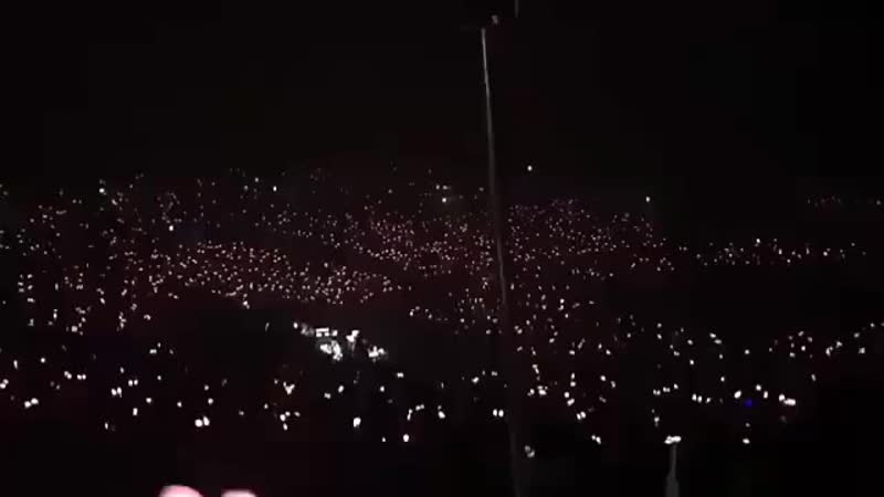 Roses_are_rosie_instagram