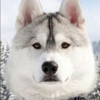 Даша Королева | Ижевск