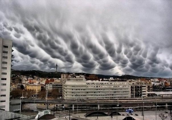 Асператус самые страшные облака Облака Undulatus asperatus (в переводе с лат. волнисто-бугристые) достаточно редкий вид облачных образований. Этот вид облаков, на настоящее время являющийся