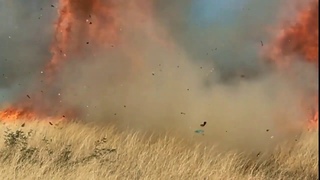 Watch: Border agent's gender-reveal explosion is the moment a massive Arizona wildfire started