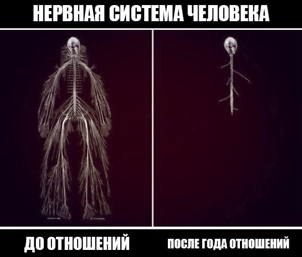 cb56JgSnxX4.jpg
