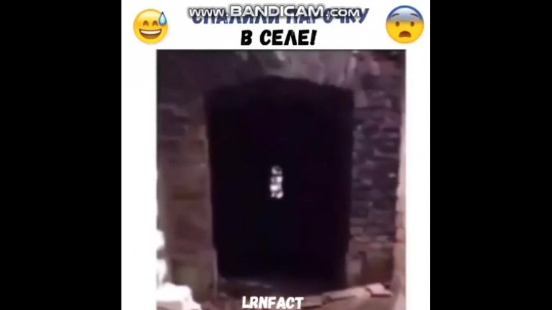 СПАЛИЛИ ПАРОЧКУ