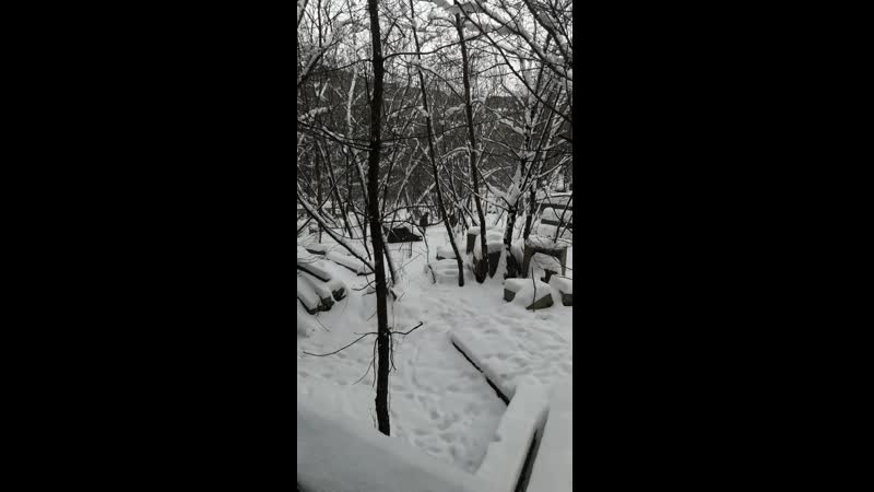 Типичная страйкбольная игра зимой