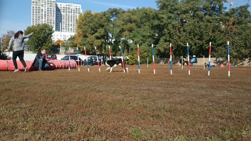 VID_20181015_114022.mp4