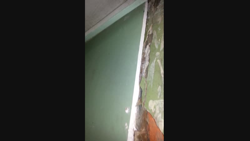 Shipa_15_hall