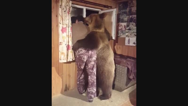 дрессировщик с медведем