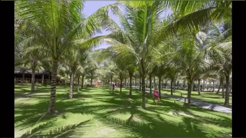 DESSOLE SEA LION BEACH NHA TRANG