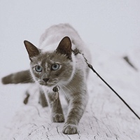 https://pp.userapi.com/c851328/v851328007/94029/z0rHXGrgCJY.jpg