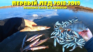 ПЕРВЫЙ ЛЕД 2018 - 2019 | Попали на жор окуня | БЕШЕНЫЙ КЛЕВ