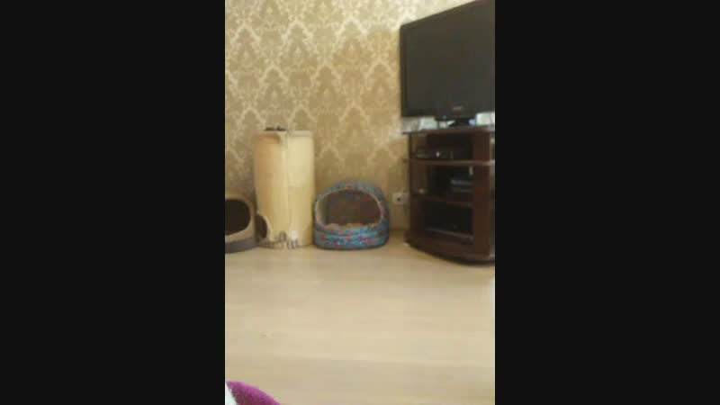 МОЯ ДНЮХА УРААА