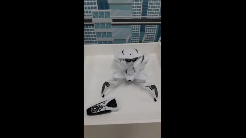 Robo_sfera в Гатчине