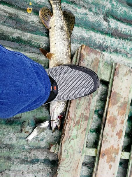Рыболовное место в Челябинской области — 55.480, 60.465
