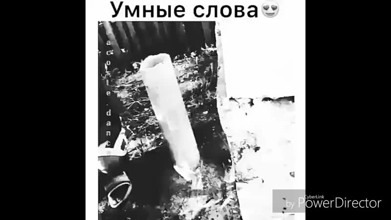 Умные_слова_HD 720p.mp4