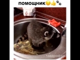 Мама и животных нагрузит домашней работой