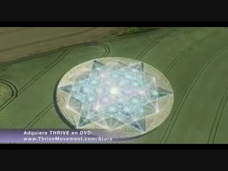 Toroide y vector en equilibrio.