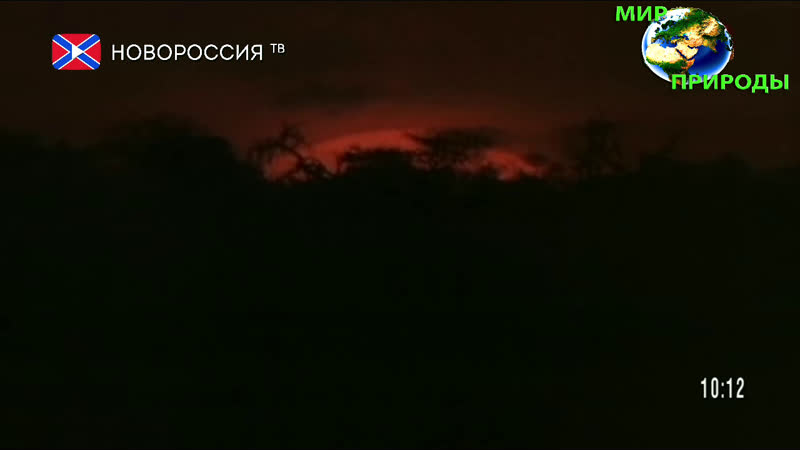 Live Новороссия ТВ | Новости ДНР ЛНР