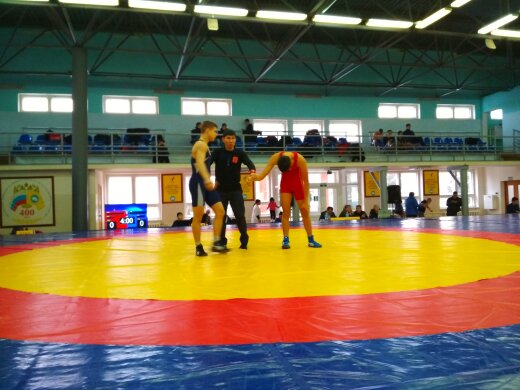 Спортсмены сборной команды города Донецка стали призёрами Всероссийского турнира по греко-римской борьбе памяти Т.Л. Балдашинова