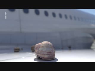 Один метр в час / One_Meter_Per_Hour(2018)