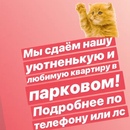 Объявление от Olga - фото №1