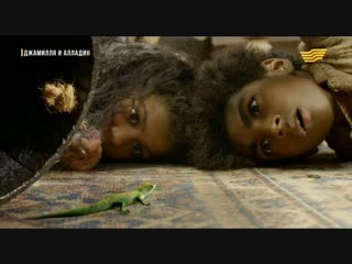 Джамилля и Аладдин / Jamillah and Aladdin (2015-2016, Великобритания) 13 серия из 52