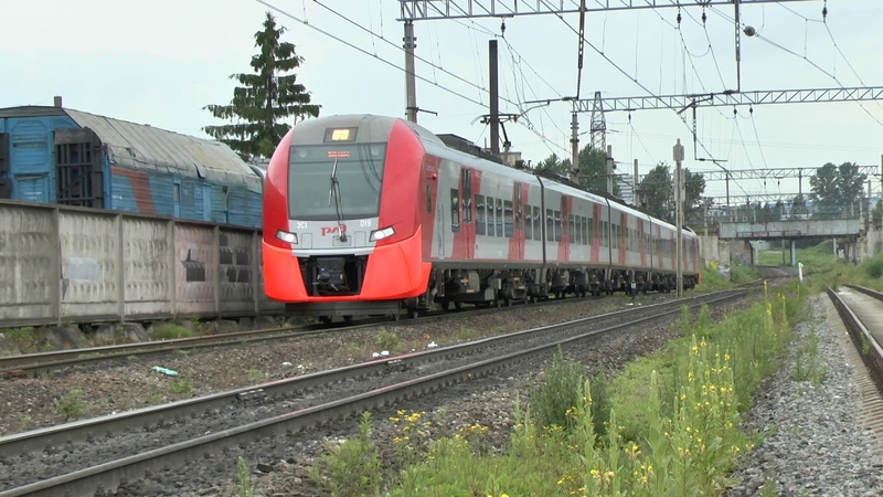 Ласточка ЭС1-019