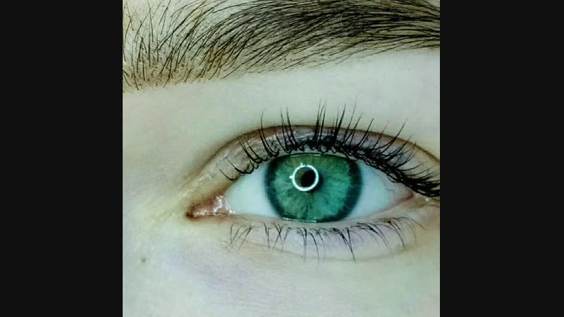 Lami