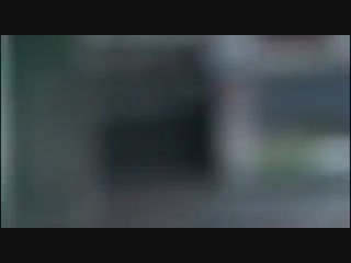 Белый медведь и конкретный пофигист