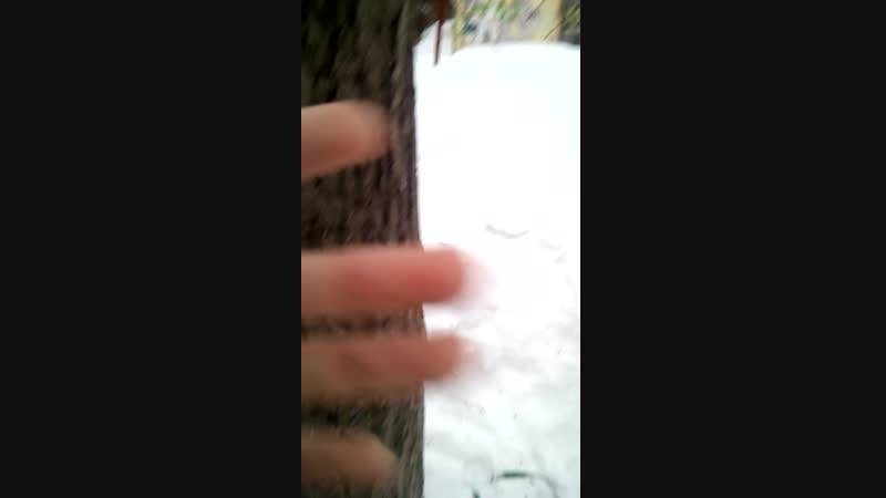 MUTE_20190120_122407.mp4